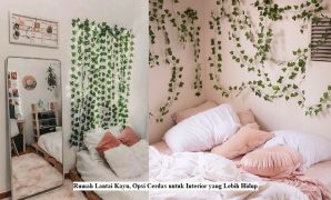 Dekorasi Kamar Daun Rambat, Simpel Namun Menawan Dekorasi Kamar Daun Rambat